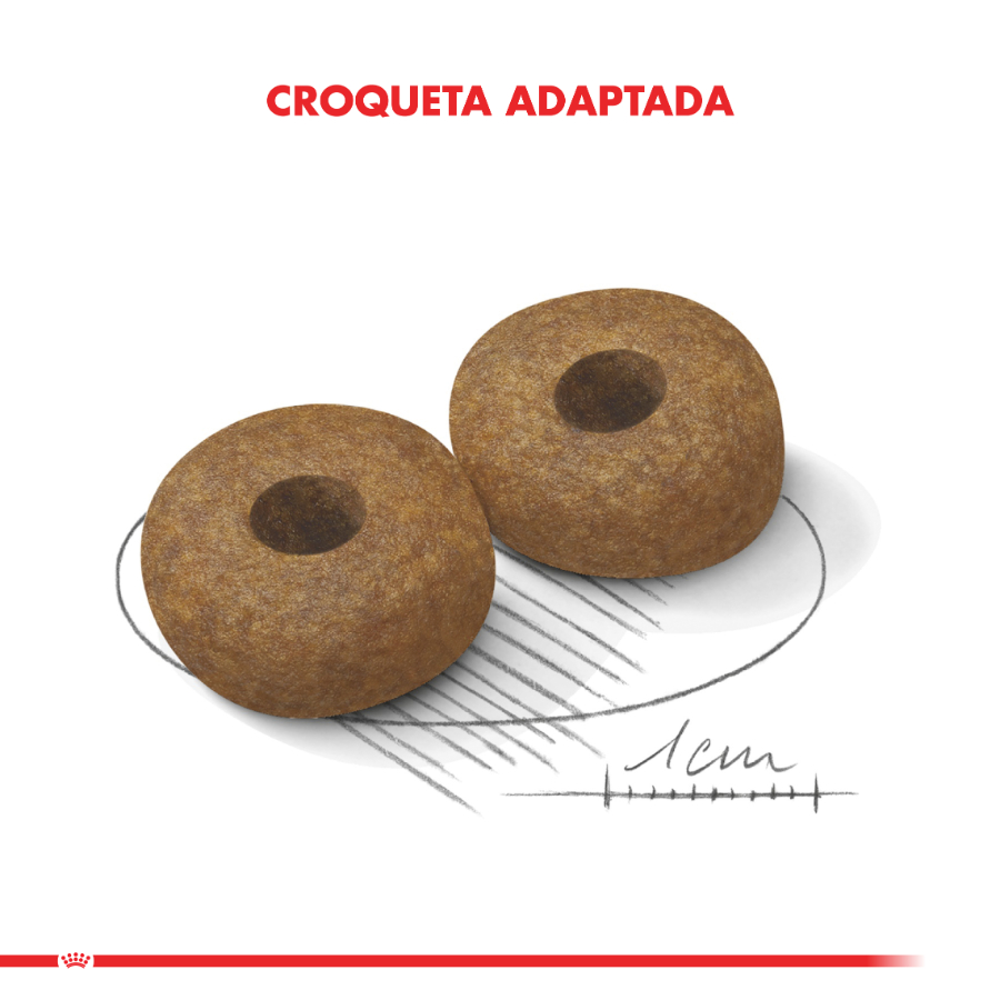 Royal Canin alimento seco para perro adulto Medium Ageing 10+ 15KG, , large image number null